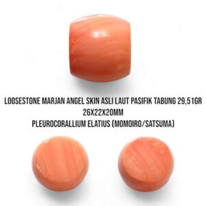 Marjan Asli Pleurocorallium Elatius Angel Skin 29,51 Gram