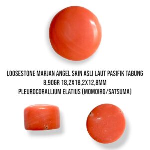 Marjan Asli Pleurocorallium Elatius Angel Skin 8,90 Gram