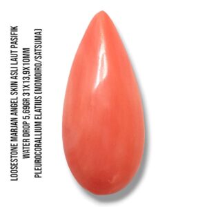 Marjan Asli Pleurocorallium Elatius Angel Skin 5,69 Gram