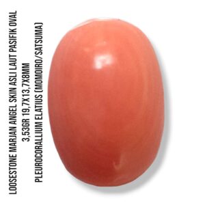 Marjan Asli Pleurocorallium Elatius Angel Skin 3,53 Gram