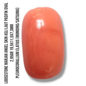 Marjan Asli Pleurocorallium Elatius Angel Skin 2,95 Gram