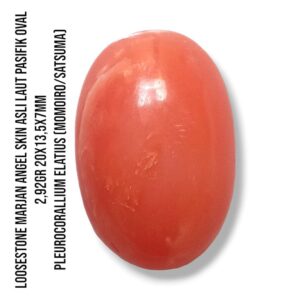 Marjan Asli Pleurocorallium Elatius Angel Skin 2,92 Gram