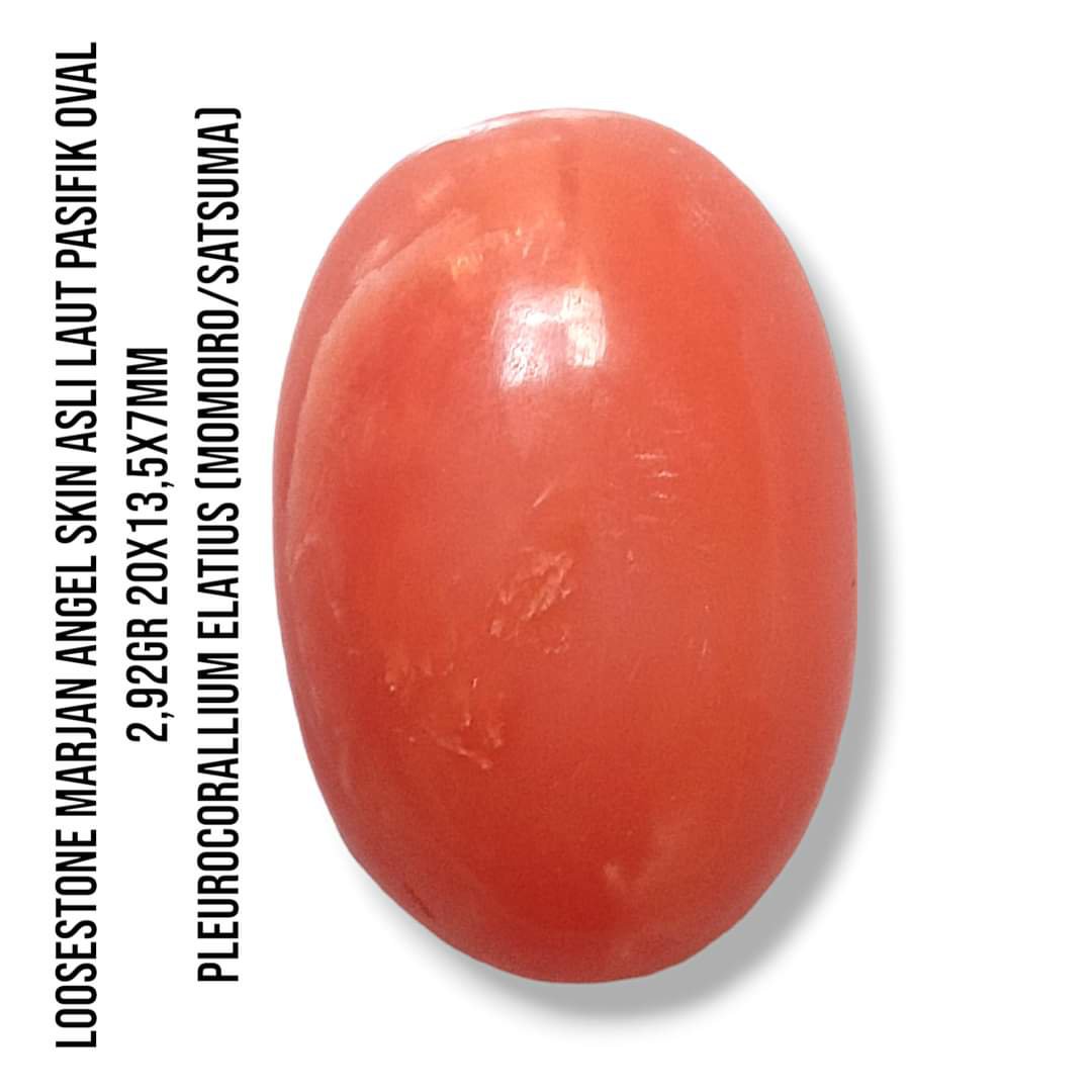 Marjan Asli Pleurocorallium Elatius Angel Skin 2,92 Gram