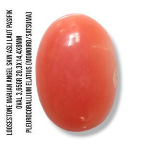 Marjan Asli Pleurocorallium Elatius Angel Skin 3,65 Gram