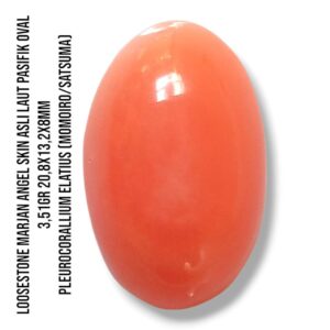 Marjan Asli Pleurocorallium Elatius Angel Skin 3,51 Gram