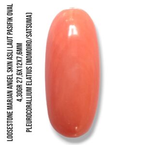 Marjan Asli Pleurocorallium Elatius Angel Skin 4,30 Gram