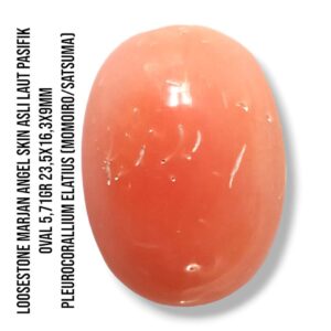 Marjan Asli Pleurocorallium Elatius Angel Skin 5,71 Gram