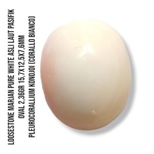 Marjan Asli Pleurocorallium Konojoi Pure White 2,36 Gram