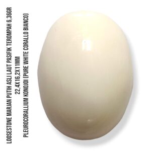 Marjan Asli Pleurocorallium Konojoi Pure White 6,36 Gram