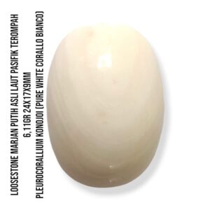 Marjan Asli Pleurocorallium Konojoi Pure White 6,11 Gram