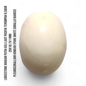 Marjan Asli Pleurocorallium Konojoi Pure White 8,56 Gram