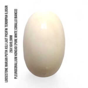 Marjan Asli Pleurocorallium Konojoi Pure White 6,85 Gram