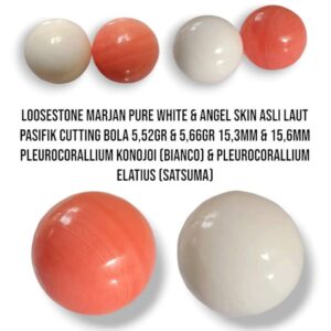 Marjan Asli Sepasang Bola Merah dan Putih Pleurocorallium Elatius dan Pleurocorallium Konojoi 11,18 Gram