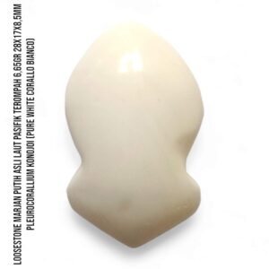 Marjan Asli Pleurocorallium Konojoi Pure White 6,65 Gram Berbentuk Terompah