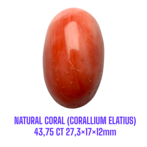LOOSESTONE NATURAL CORAL MARJAN (CORALLIUM ELATIUS) 43,75 ct 27,3×17×12mm