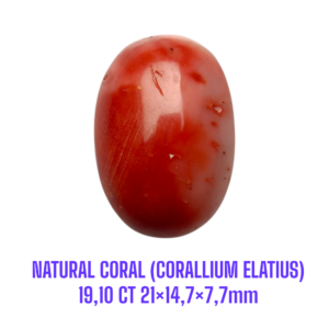 LOOSESTONE NATURAL CORAL MARJAN (CORALLIUM ELATIUS) 19,10 ct 21×14,7×7,7mm