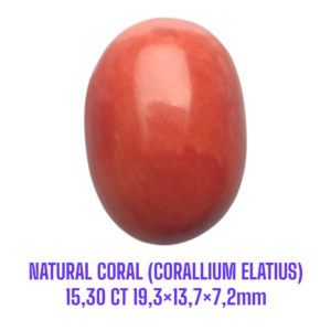LOOSESTONE NATURAL CORAL MARJAN (CORALLIUM ELATIUS) 15,30 ct 19,3×13,7×7,2mm