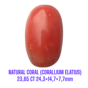 LOOSESTONE NATURAL CORAL MARJAN (CORALLIUM ELATIUS) 23,65 ct 24,3×14,7×7,7mm