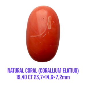 LOOSESTONE NATURAL CORAL MARJAN (CORALLIUM ELATIUS) 19,40 ct 23,7×14,6×7,2mm