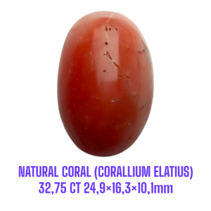 LOOSESTONE NATURAL CORAL MARJAN (CORALLIUM ELATIUS) 32,75 ct 24,9×16,3×10,1mm
