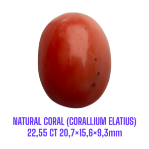 LOOSESTONE NATURAL CORAL MARJAN (CORALLIUM ELATIUS) 22,55 ct 20,7×15,6×9,3mm
