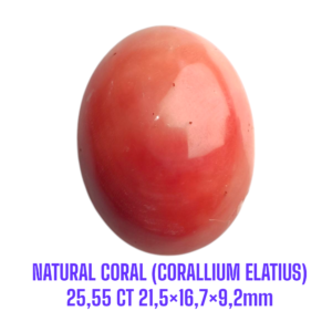 LOOSESTONE NATURAL CORAL MARJAN (CORALLIUM ELATIUS) 25,55 ct 21,5×16,7×9,2mm