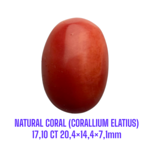 LOOSESTONE NATURAL CORAL MARJAN (CORALLIUM ELATIUS) 17,10 ct 20,4×14,4×7,1mm