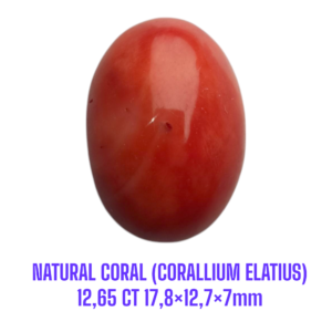 LOOSESTONE NATURAL CORAL MARJAN (CORALLIUM ELATIUS) 12,65 ct 17,8×12,7×7mm