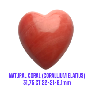 LOOSESTONE NATURAL CORAL MARJAN (CORALLIUM ELATIUS) 31,75 ct 22×21×9,1mm