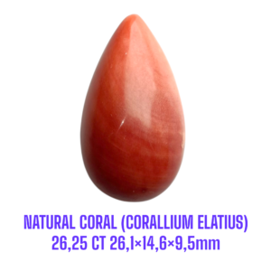 LOOSESTONE NATURAL CORAL MARJAN (CORALLIUM ELATIUS) 26,25 ct 26,1×14,6×9,5mm