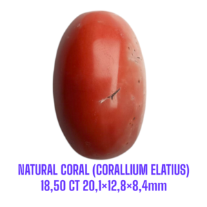 LOOSESTONE NATURAL CORAL MARJAN (CORALLIUM ELATIUS) 18,50 ct 20,1×12,8×8,4mm