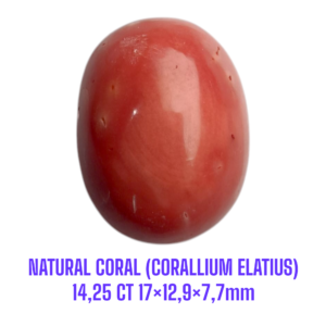 LOOSESTONE NATURAL CORAL MARJAN (CORALLIUM ELATIUS) 14,25 ct 17×12,9×7,7mm