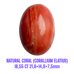 LOOSESTONE NATURAL CORAL MARJAN (CORALLIUM ELATIUS) 18,55 ct 21,6×14,8×7,5mm