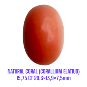 LOOSESTONE NATURAL CORAL MARJAN (CORALLIUM ELATIUS)15,75 ct 20,3×13,9×7,5mm