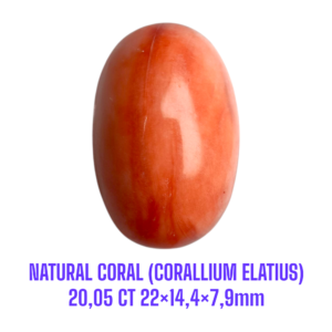 LOOSESTONE NATURAL CORAL MARJAN (CORALLIUM ELATIUS)20,05 ct 22×14,4×7,9mm