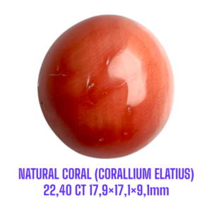 LOOSESTONE NATURAL CORAL MARJAN (CORALLIUM ELATIUS)22,40 ct 17,9×17,1×9,1mm