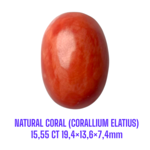 LOOSESTONE NATURAL CORAL MARJAN (CORALLIUM ELATIUS)15,55 ct 19,4×13,6×7,4mm