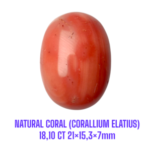 LOOSESTONE NATURAL CORAL MARJAN (CORALLIUM ELATIUS)18,10 ct 21×15,3×7mm