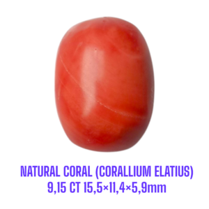 LOOSESTONE NATURAL CORAL MARJAN (CORALLIUM ELATIUS)9,15 ct 15,5×11,4×5,9mm