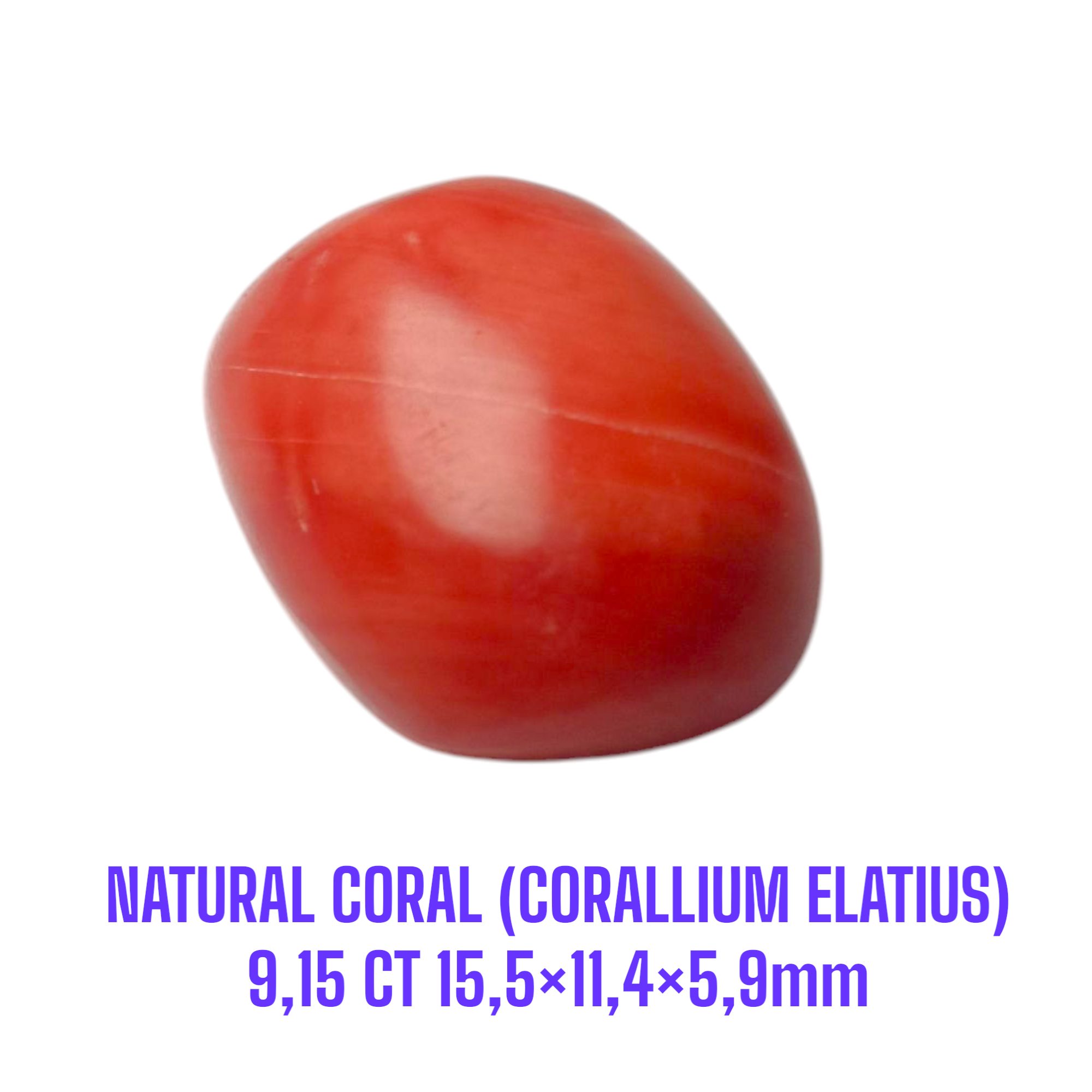 LOOSESTONE NATURAL CORAL MARJAN (CORALLIUM ELATIUS)9,15 ct 15,5×11,4×5,9mm - Gambar 3