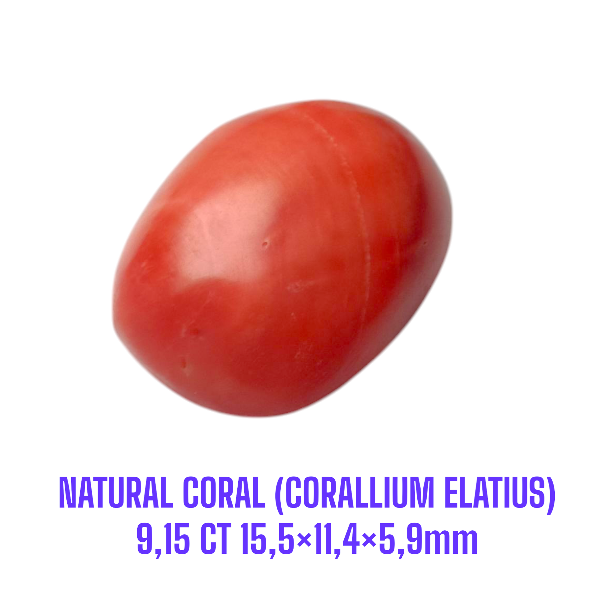 LOOSESTONE NATURAL CORAL MARJAN (CORALLIUM ELATIUS)9,15 ct 15,5×11,4×5,9mm - Gambar 2