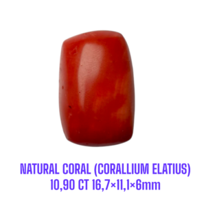 LOOSESTONE NATURAL CORAL MARJAN (CORALLIUM ELATIUS)10,90 ct 16,7×11,1×6mm