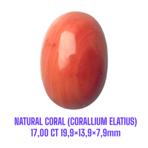 LOOSESTONE NATURAL CORAL MARJAN (CORALLIUM ELATIUS) 17,00 ct 19,9×13,9×7,9mm