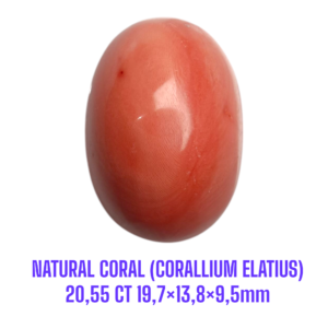 LOOSESTONE NATURAL CORAL MARJAN (CORALLIUM ELATIUS) 20,55 ct 19,7×13,8×9,5mm