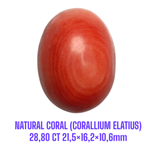 LOOSESTONE NATURAL CORAL MARJAN (CORALLIUM ELATIUS) 28,80 ct 21,5×16,2×10,6mm