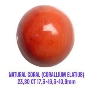 LOOSESTONE NATURAL CORAL MARJAN (CORALLIUM ELATIUS) 23,80 ct 17,3×16,3×10,9mm