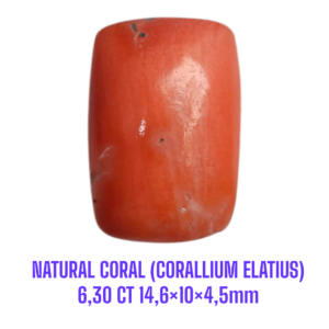 LOOSESTONE NATURAL CORAL MARJAN (CORALLIUM ELATIUS) 6,30 ct 14,6×10×4,5mm