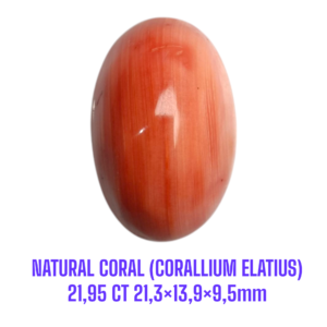 LOOSESTONE NATURAL CORAL MARJAN (CORALLIUM ELATIUS) 21,95 ct 21,3×13,9×9,5mm