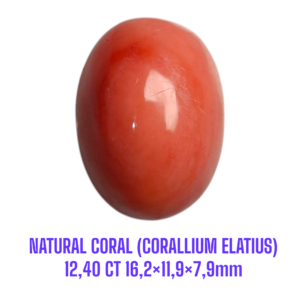 LOOSESTONE NATURAL CORAL MARJAN (CORALLIUM ELATIUS) 12,40 ct 16,2×11,9×7,9mm