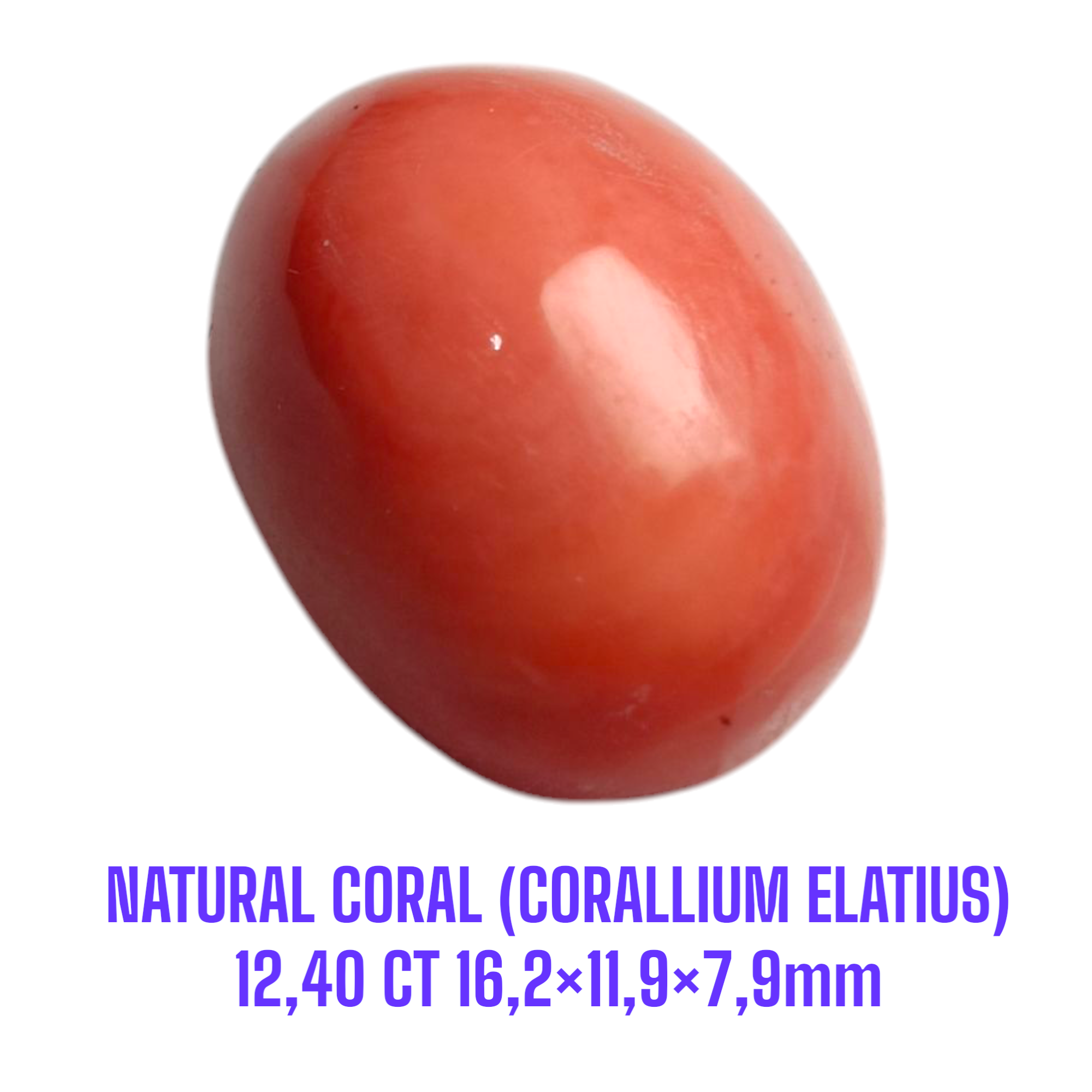 LOOSESTONE NATURAL CORAL MARJAN (CORALLIUM ELATIUS) 12,40 ct 16,2×11,9×7,9mm - Gambar 2
